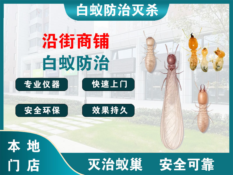 湖州市沿街商铺白蚁防治