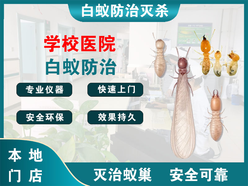 湖州市学校医院白蚁防治