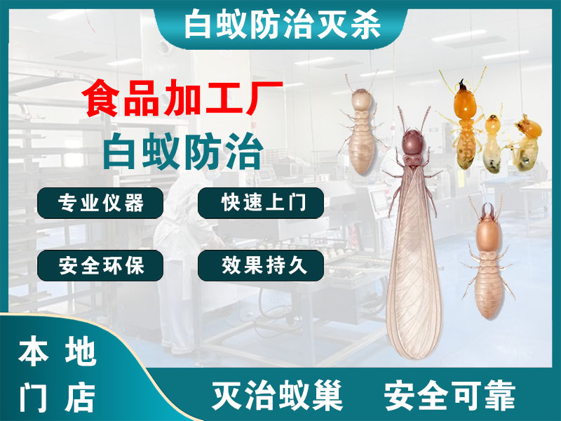 湖州市食品加工厂白蚁防治