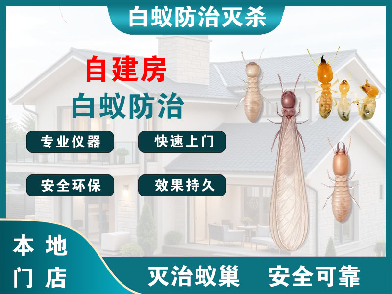 湖州市自建房白蚁防治