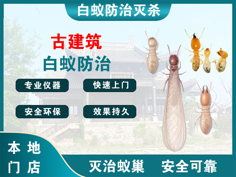 湖州市古建筑白蚁防治