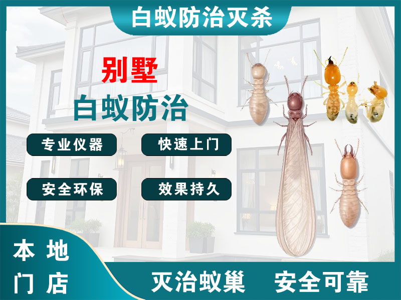 湖州市别墅白蚁防治