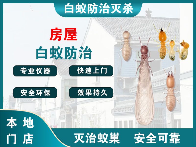湖州市房屋白蚁防治